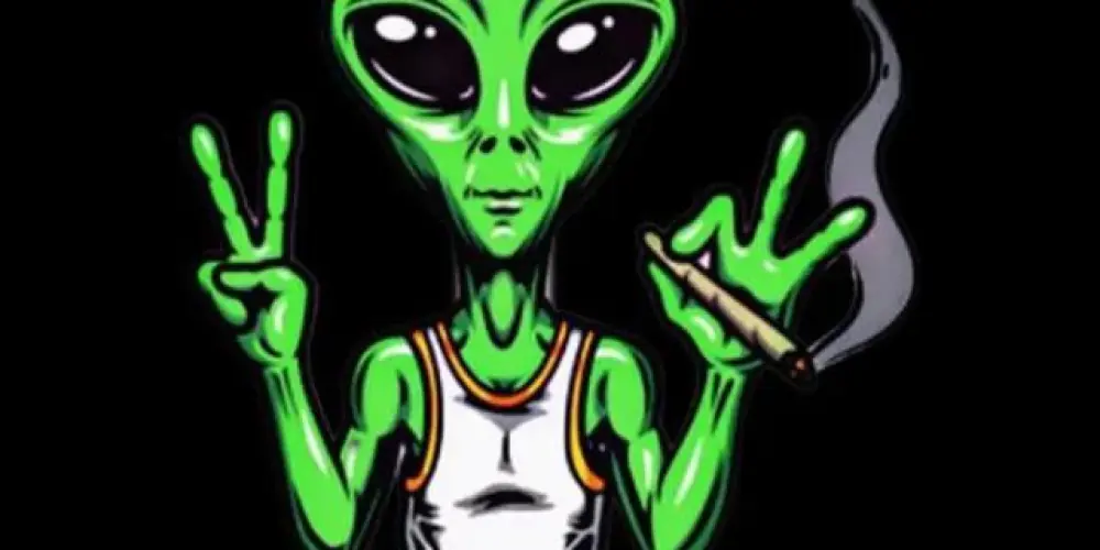 Imagem do grupo de WhatsApp Camiones🇦🇷🇧🇷🇵🇾👽