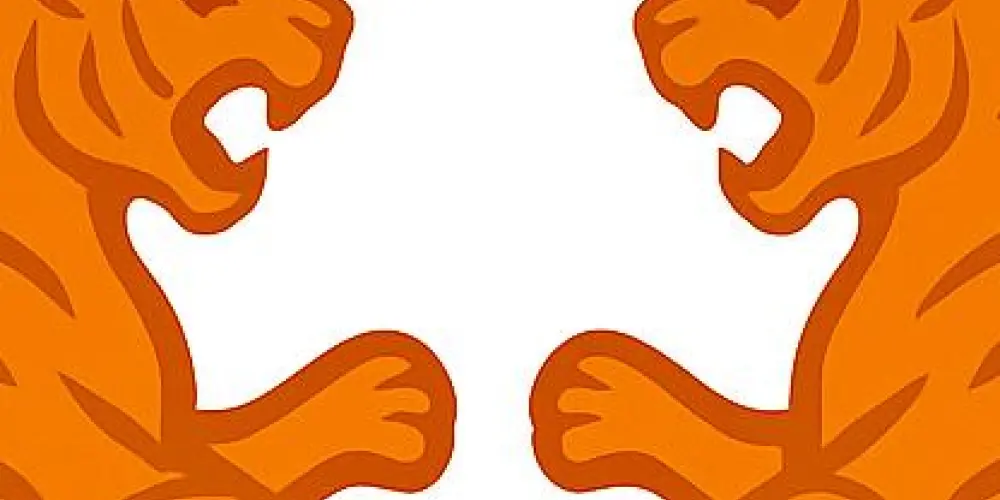 Imagem do grupo de WhatsApp CAMP DIARIO - BLKT