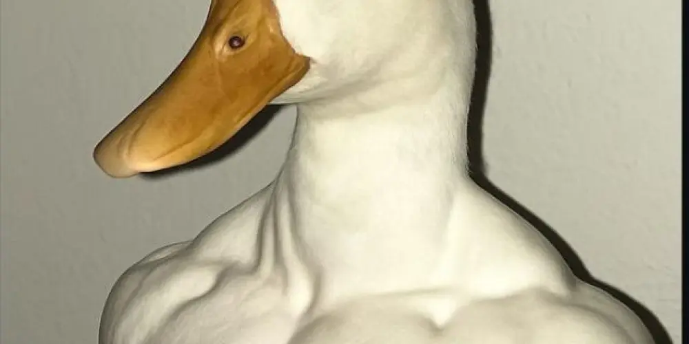 Imagem do grupo de WhatsApp CAMPEONATO DLS 26