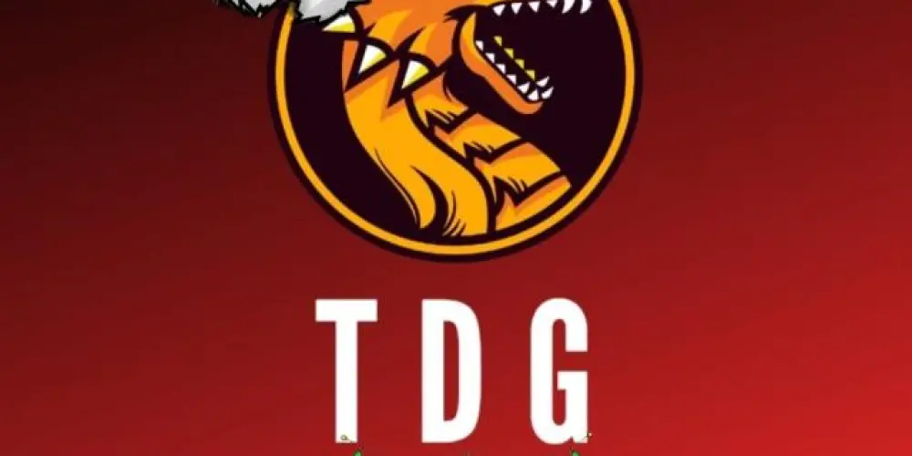 Imagem do grupo de WhatsApp CAMPEONATOS DE FREE FIRE 🔥🏆