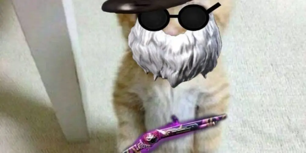 Imagem do grupo de WhatsApp Camper FF