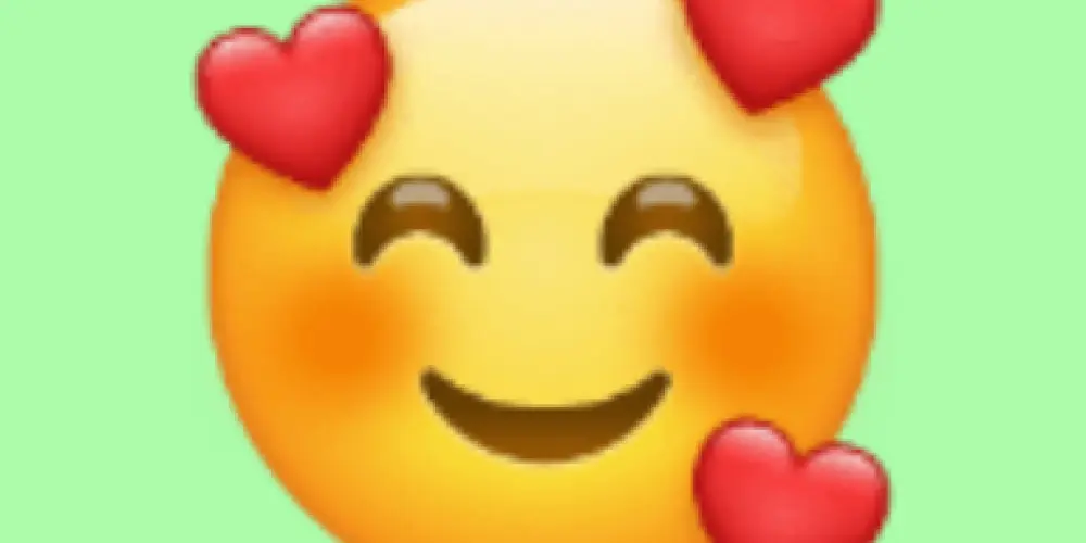 Imagem do grupo de WhatsApp Campinas e Região (Amizade)