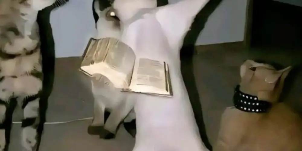 Imagem do grupo de WhatsApp Canal LD Free fire 🔫🐧