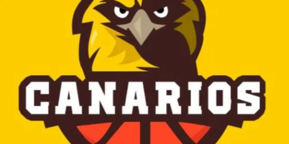 Imagem do grupo de WhatsApp Canários belga Brasil 🇧🇷