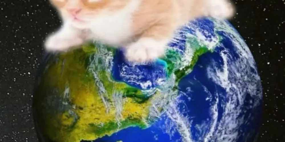 Imagem do grupo de WhatsApp candy world