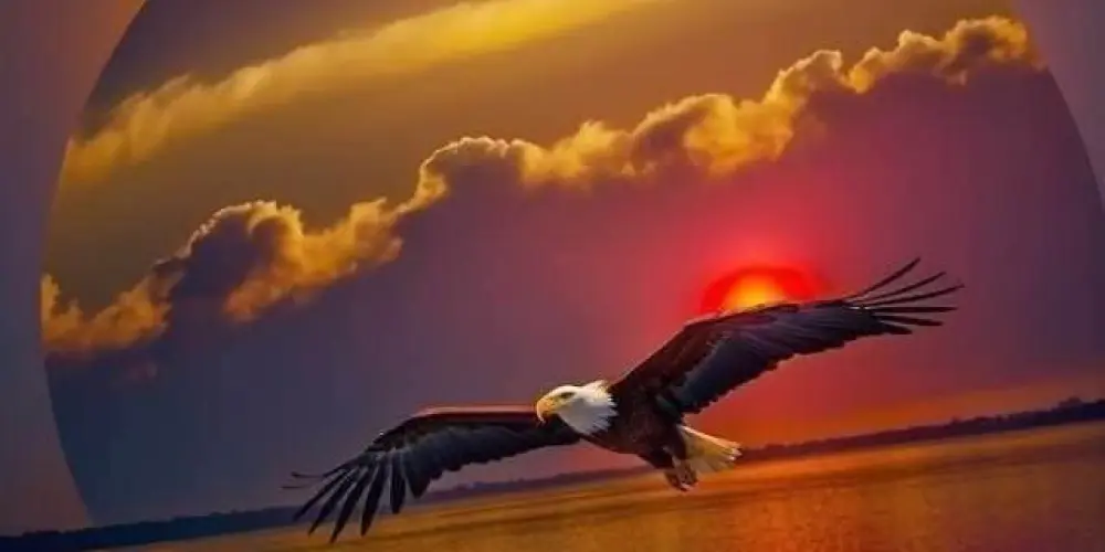 Imagem do grupo de WhatsApp Cantadas de pedreiro, músicas e filmes que marcaram.