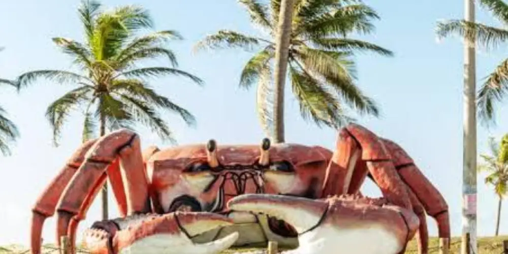 Imagem do grupo de WhatsApp Cantinho aracajuano