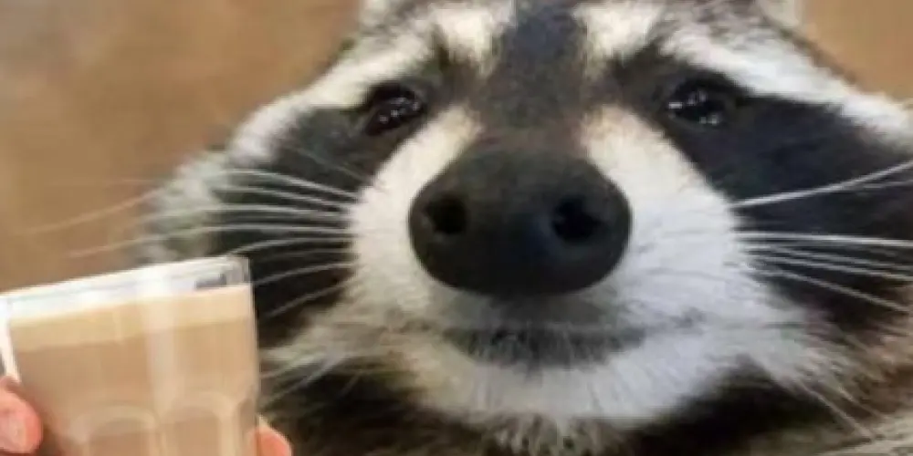 Imagem do grupo de WhatsApp CANTINHO DA WEB AMIZADE