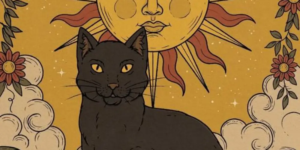 Imagem do grupo de WhatsApp ✮Cantinho do Sol✮