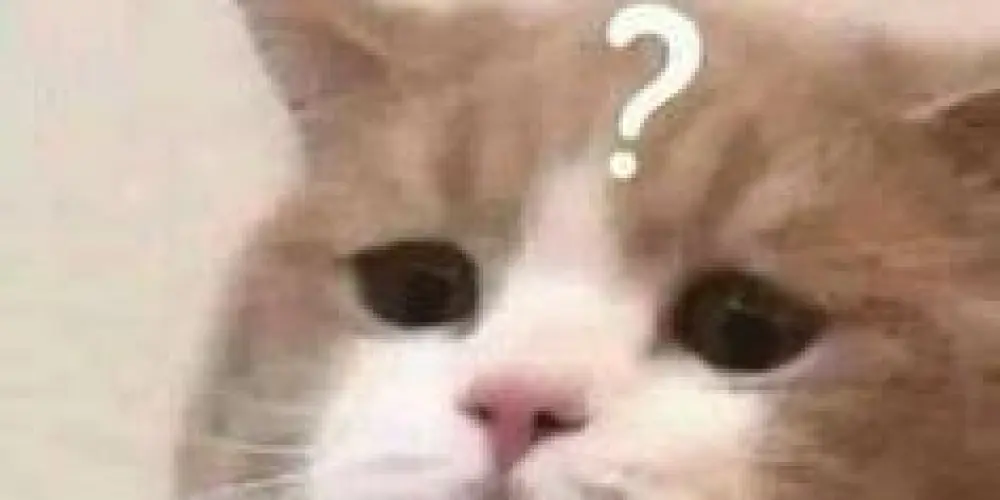 Imagem do grupo de WhatsApp canto do Fundão