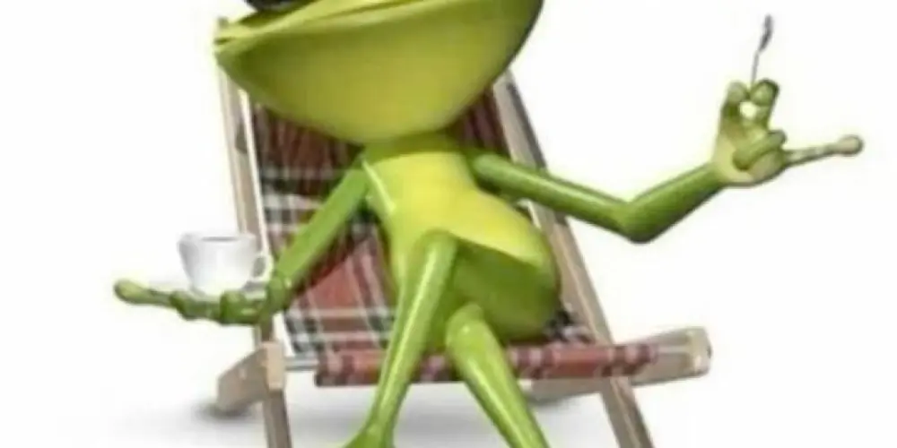 Imagem do grupo de WhatsApp Caos organizado