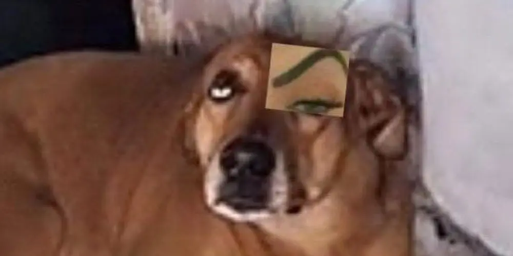 Imagem do grupo de WhatsApp caps 24 horas