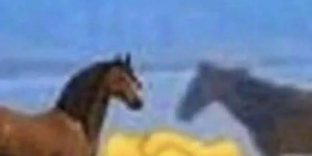 Imagem do grupo de WhatsApp Caps 🔫