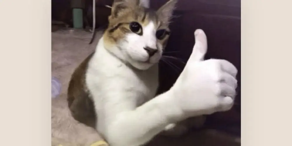 Imagem do grupo de WhatsApp 👥 | CAPS | 👥