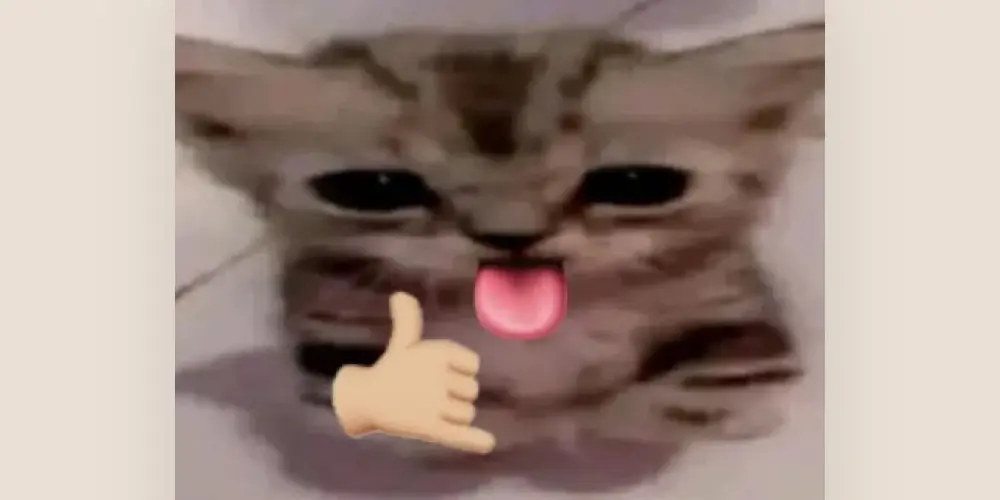 Imagem do grupo de WhatsApp CAPS