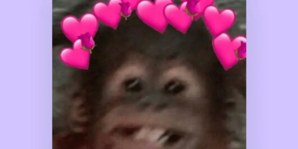 Imagem do grupo de WhatsApp CAPS do Biel 2