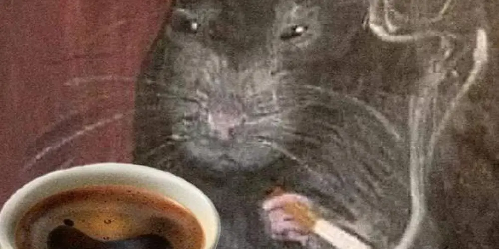 Imagem do grupo de WhatsApp Caps do Vegas (o que acontece em Vegas fica em Vegas)