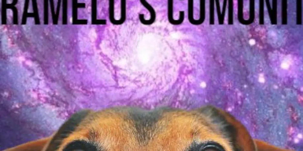 Imagem do grupo de WhatsApp CARAMELO'S COMUNITY