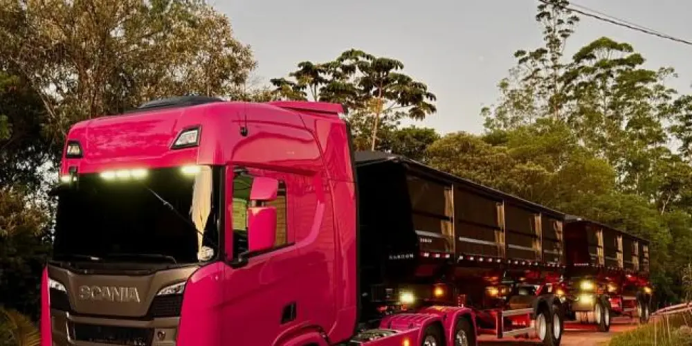 Imagem do grupo de WhatsApp Cargas e Retornos- VANT LOG LTDA