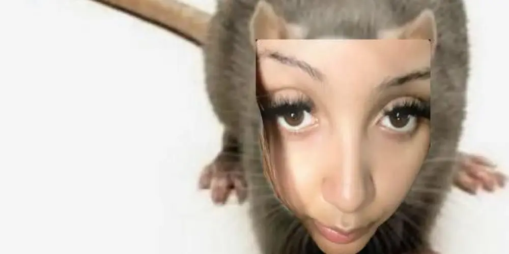 Imagem do grupo de WhatsApp Carioquês :P