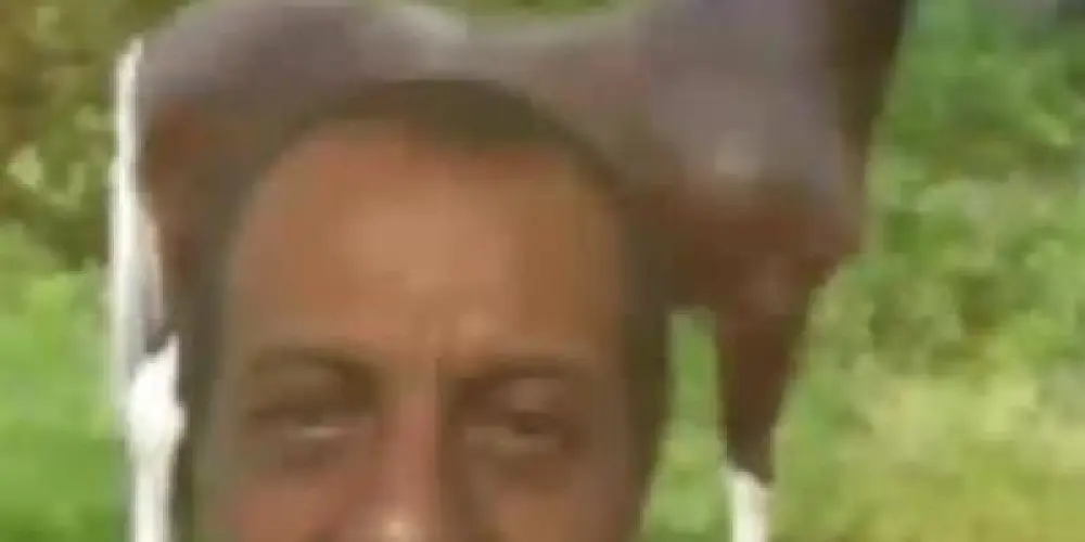 Imagem do grupo de WhatsApp Carlinhos E Cavalos