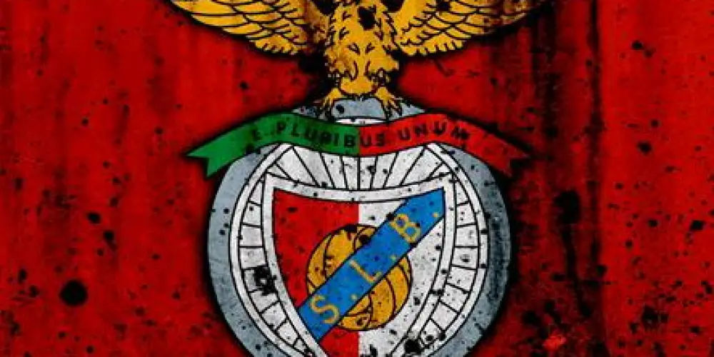 Imagem do grupo de WhatsApp CARREGA BENFICA ⚪️🔴🦅
