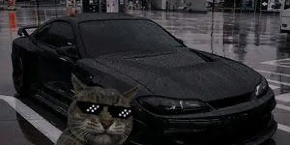 Imagem do grupo de WhatsApp Carro 🚘 - Irmãos do Asfalto