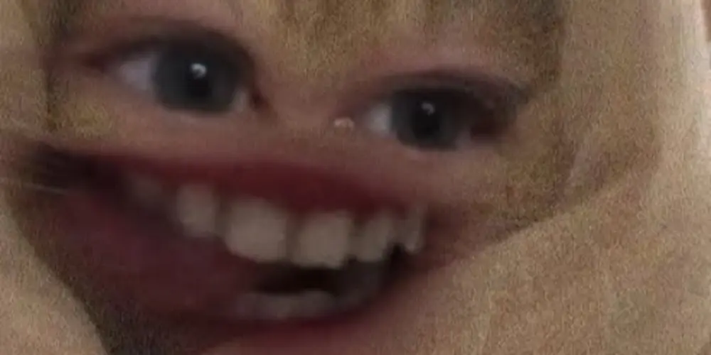 Imagem do grupo de WhatsApp CASA DA ZUERA