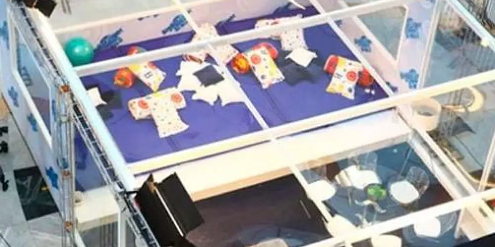 Imagem do grupo de WhatsApp casa de vidro bbb