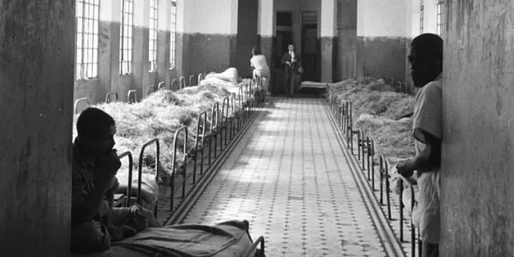 Imagem do grupo de WhatsApp CASA DOS ARTISTAS