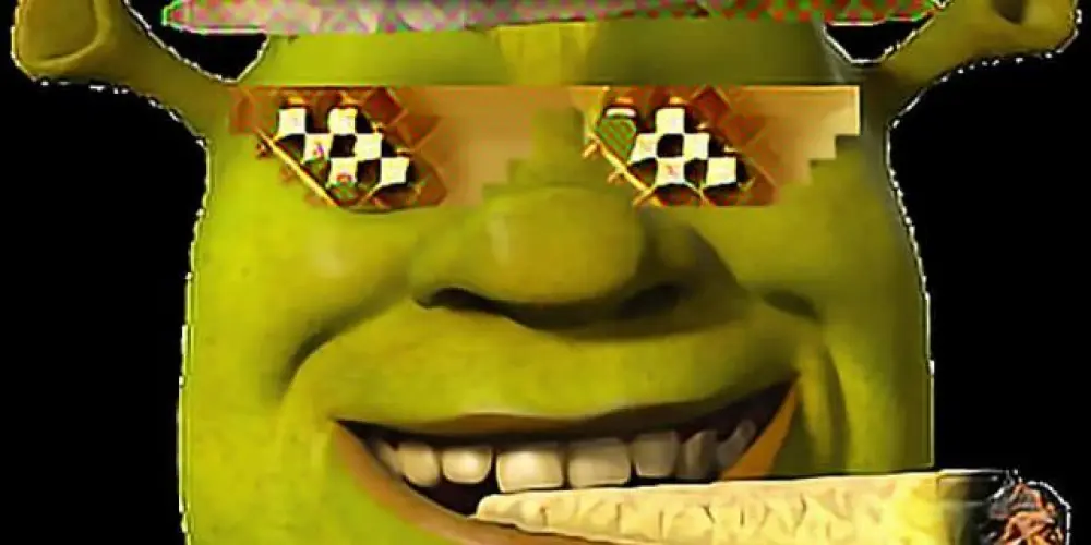 Imagem do grupo de WhatsApp °Casa dos Doidos°