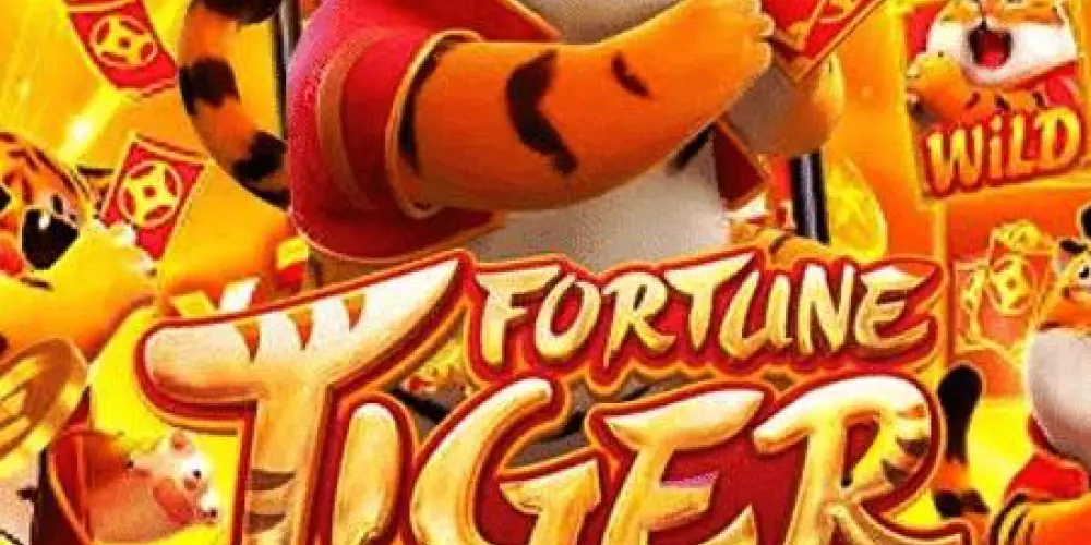 Imagem do grupo de WhatsApp ⚠️🚨CASAS CHINESAS PLATAFORMAS PAGANTES de 2026💸💰🚀