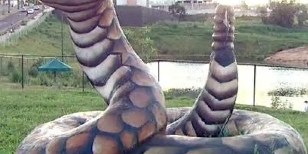 Imagem do grupo de WhatsApp Cascavel aleatória