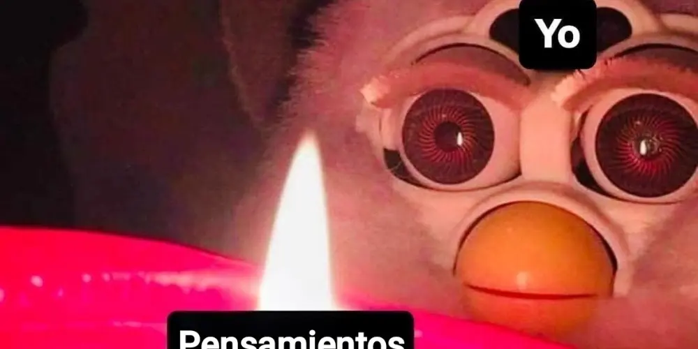 Imagem do grupo de WhatsApp Casi de todo.