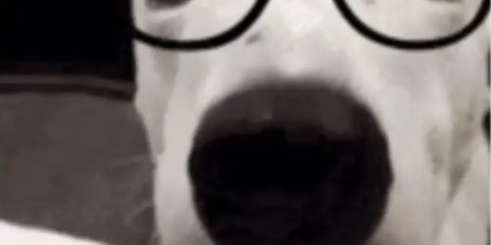 Imagem do grupo de WhatsApp CASPUDOS X⁴ X³ X² X¹ 💪🏻💪🏻