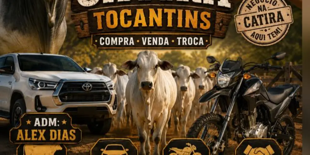 Imagem do grupo de WhatsApp CATIRA TOCANTINS OFICIAL