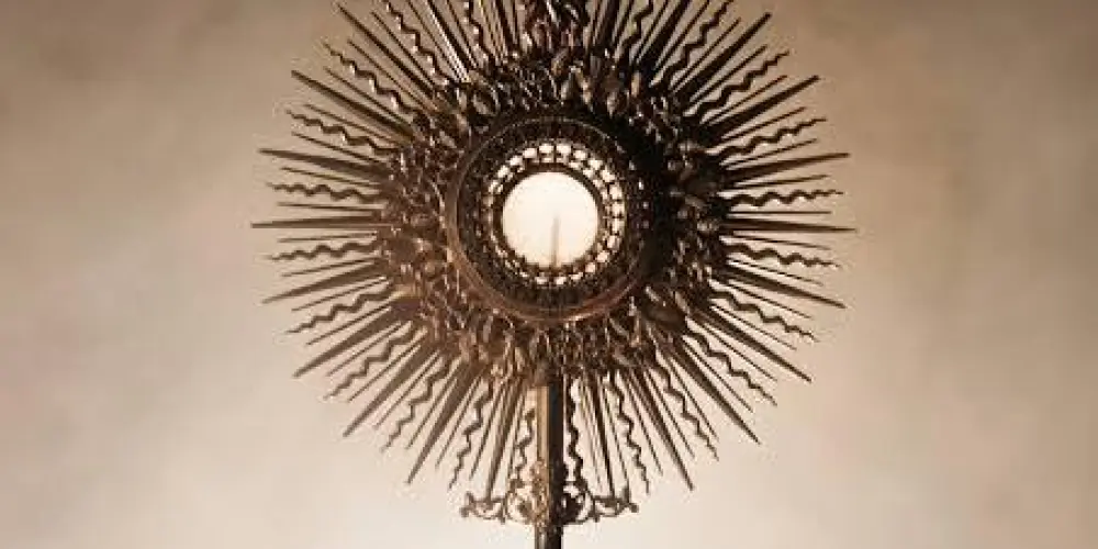 Imagem do grupo de WhatsApp 🙏🏼CATÓLICOS 🙏🏼