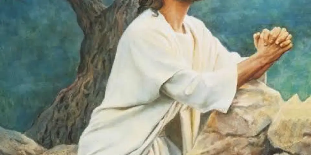 Imagem do grupo de WhatsApp 🇻🇦 Católicos Raiz