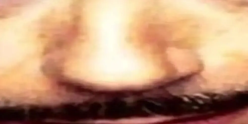 Imagem do grupo de WhatsApp Cavalos Zone