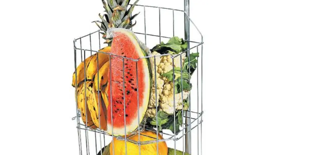 Imagem do grupo de WhatsApp 🥝🥥 🍉  Ceasa - Vamos juntas 🍉🥥🍇