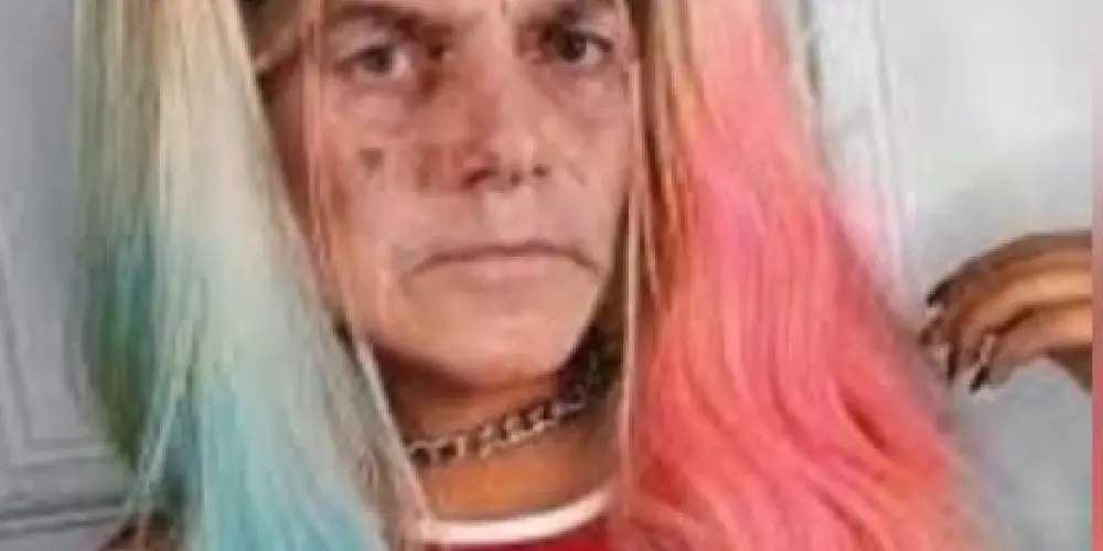 Imagem do grupo de WhatsApp ceifeiras do bolsonaro