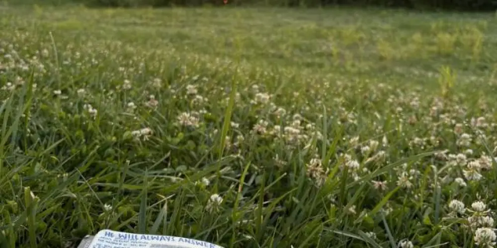 Imagem do grupo de WhatsApp Célula Elohim ✨