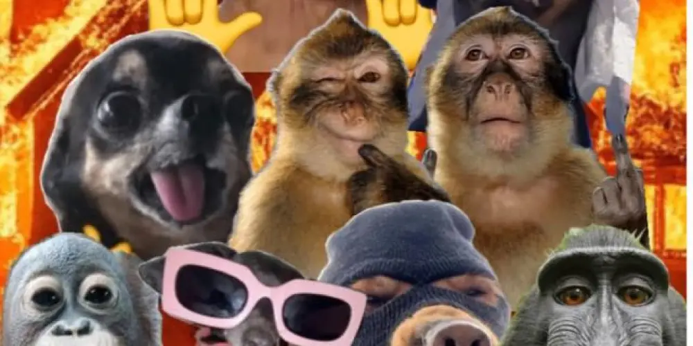 Imagem do grupo de WhatsApp *CENTRAL DA PERTURBAÇÃO*