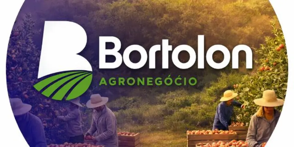 Imagem do grupo de WhatsApp Central de Cadastros Bortolon