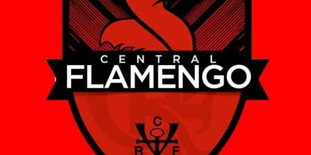 Imagem do grupo de WhatsApp CENTRAL DO FLAMENGO