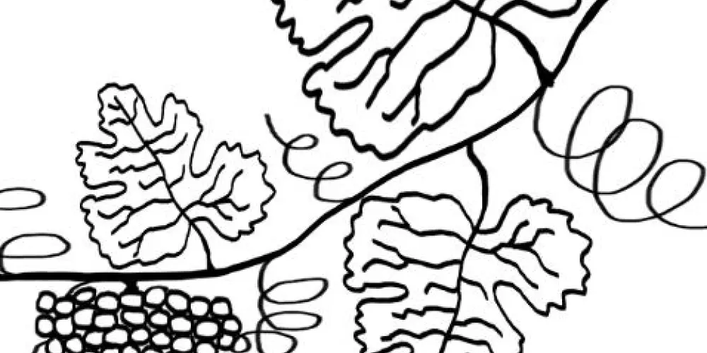 Imagem do grupo de WhatsApp Centro espírita amor de Cristo