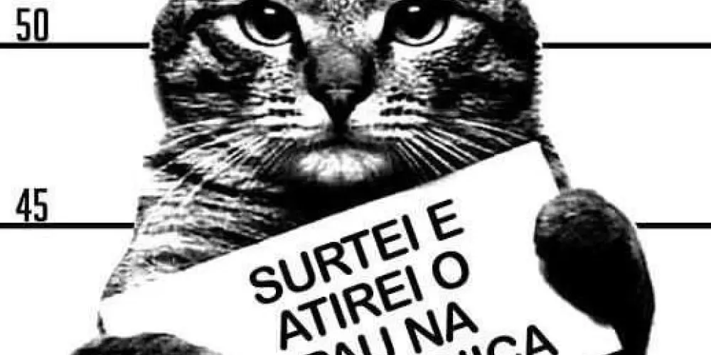 Imagem do grupo de WhatsApp Centro psicossocial