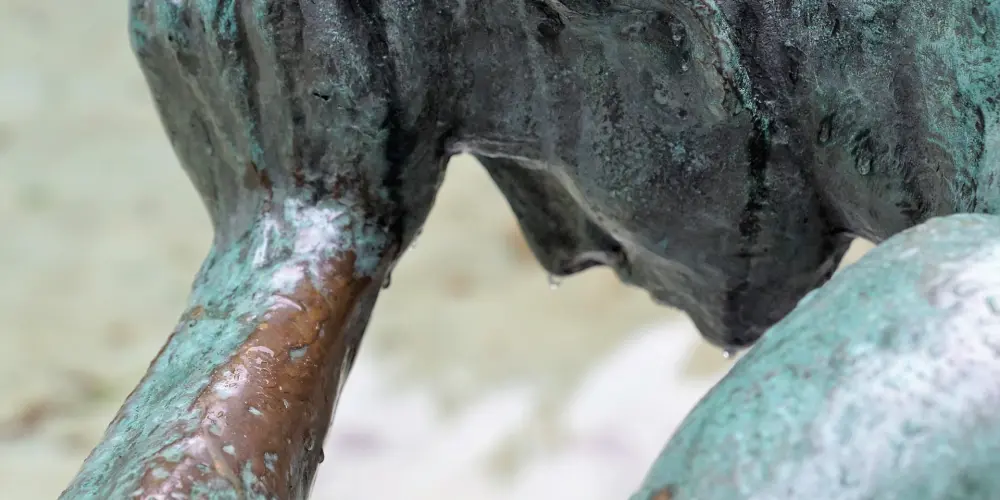 Imagem do grupo de WhatsApp Ceticismo