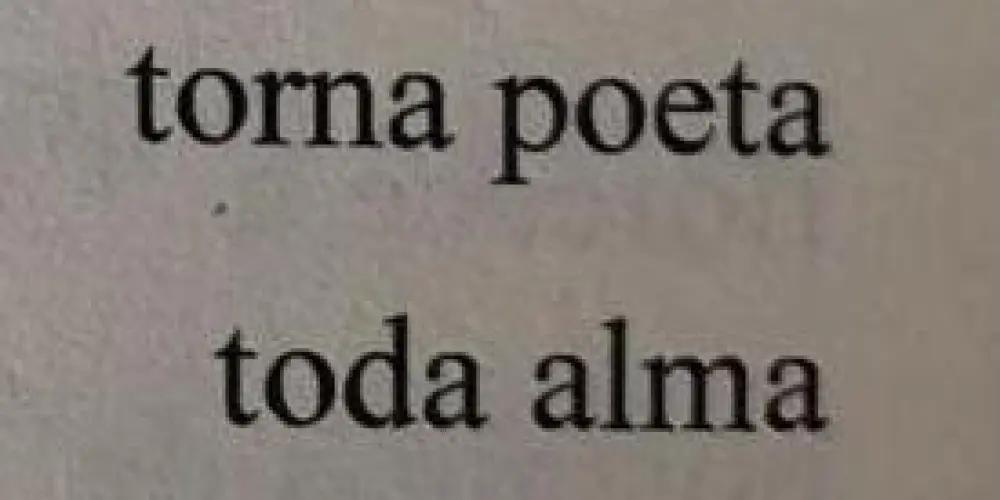 Imagem do grupo de WhatsApp Chá com poesia