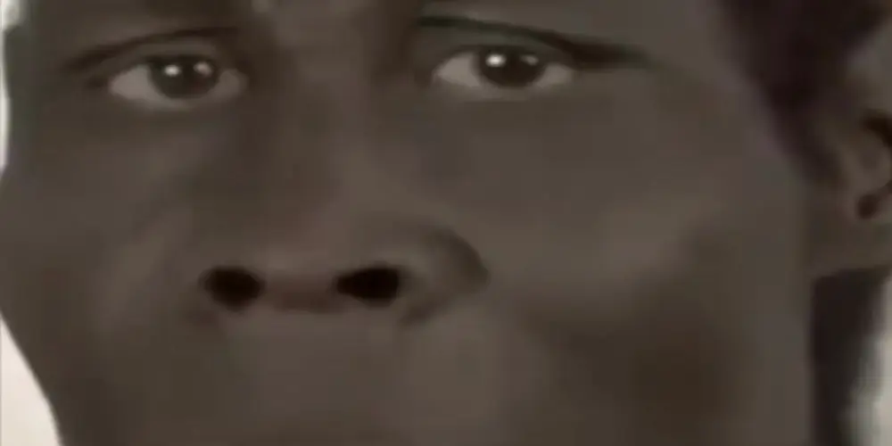 Imagem do grupo de WhatsApp Chacrinha de recepção